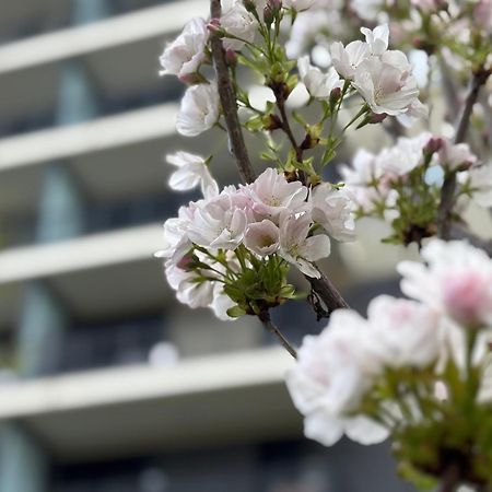 Japandi Studio Apartment, Free Parking Budapest Exterior foto